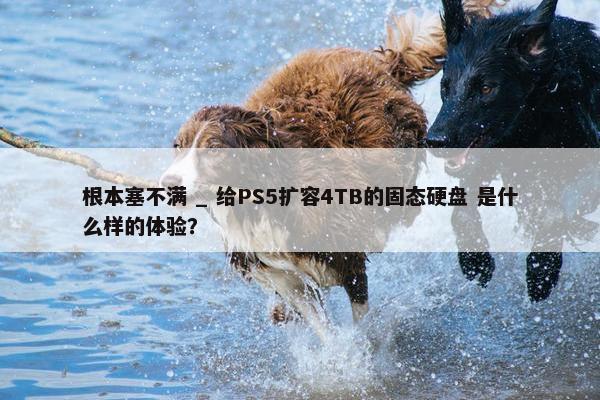 根本塞不满 _ 给PS5扩容4TB的固态硬盘 是什么样的体验？