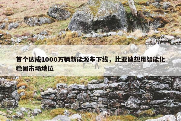 首个达成1000万辆新能源车下线，比亚迪想用智能化稳固市场地位