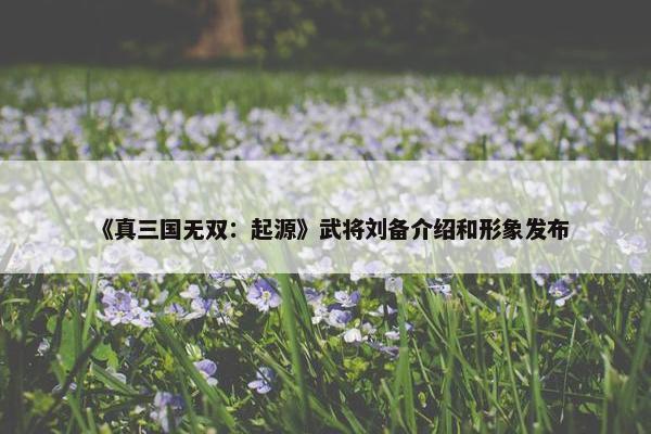 《真三国无双：起源》武将刘备介绍和形象发布