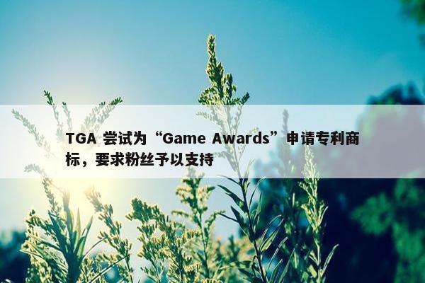 TGA 尝试为“Game Awards”申请专利商标，要求粉丝予以支持