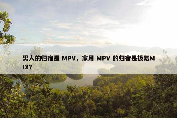 男人的归宿是 MPV，家用 MPV 的归宿是极氪MIX？