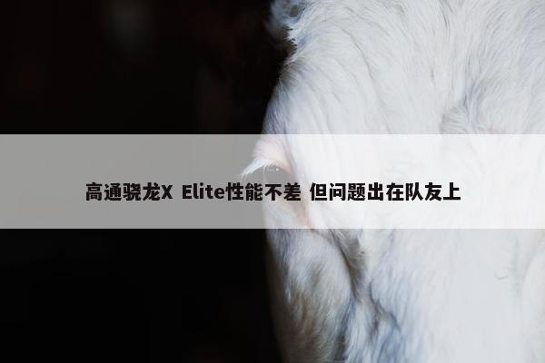 高通骁龙X Elite性能不差 但问题出在队友上