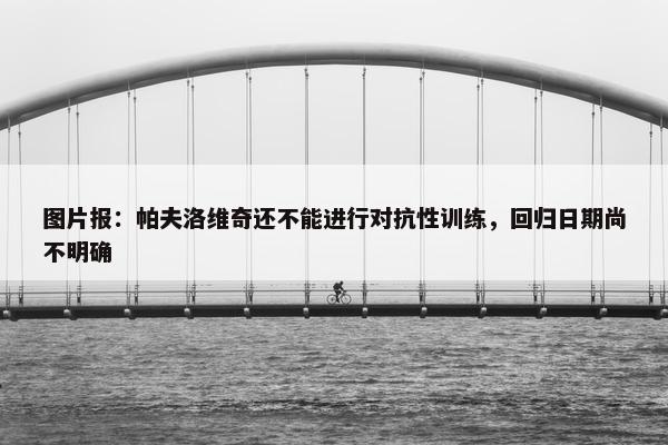 图片报：帕夫洛维奇还不能进行对抗性训练，回归日期尚不明确