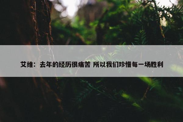 艾维：去年的经历很痛苦 所以我们珍惜每一场胜利