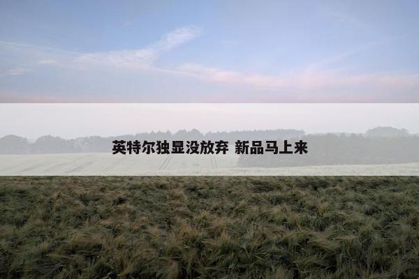 英特尔独显没放弃 新品马上来