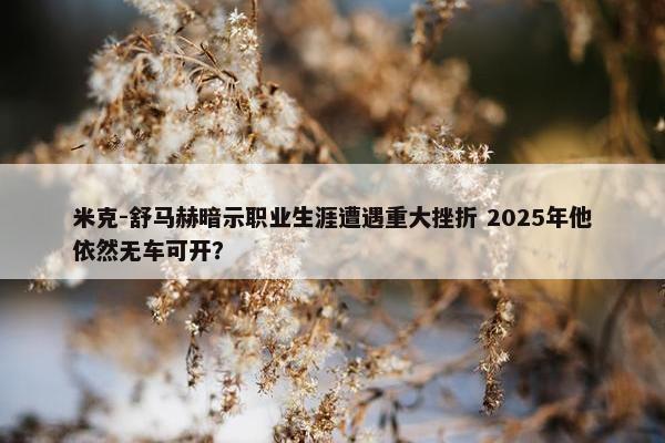 米克-舒马赫暗示职业生涯遭遇重大挫折 2025年他依然无车可开？