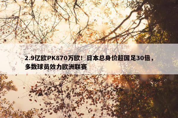 2.9亿欧PK870万欧！日本总身价超国足30倍，多数球员效力欧洲联赛