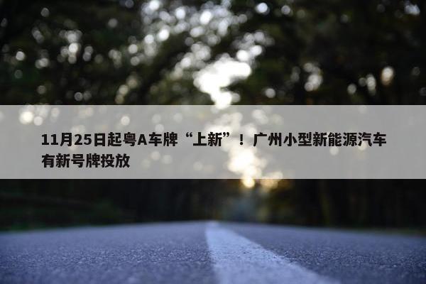 11月25日起粤A车牌“上新”！广州小型新能源汽车有新号牌投放