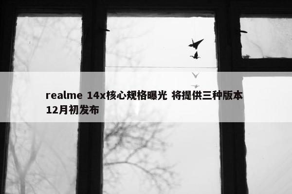 realme 14x核心规格曝光 将提供三种版本 12月初发布