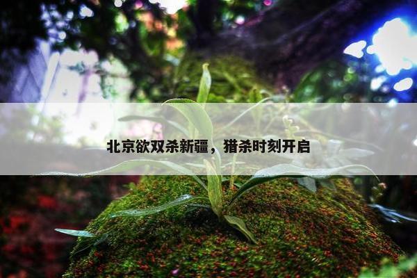 北京欲双杀新疆，猎杀时刻开启