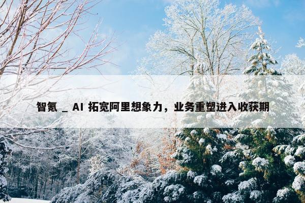 智氪 _ AI 拓宽阿里想象力，业务重塑进入收获期