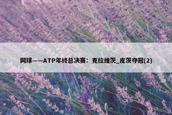 网球——ATP年终总决赛：克拉维茨_皮茨夺冠(2)