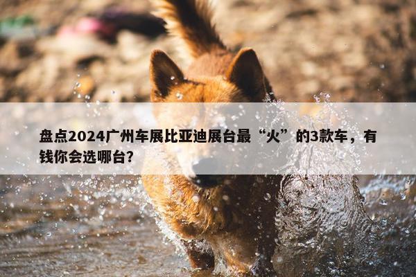 盘点2024广州车展比亚迪展台最“火”的3款车，有钱你会选哪台？