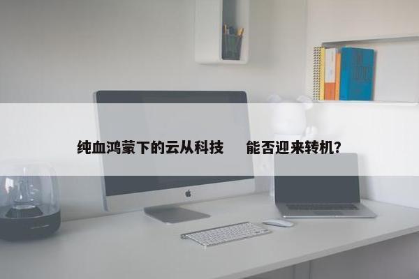 纯血鸿蒙下的云从科技    能否迎来转机？