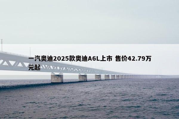 一汽奥迪2025款奥迪A6L上市 售价42.79万元起