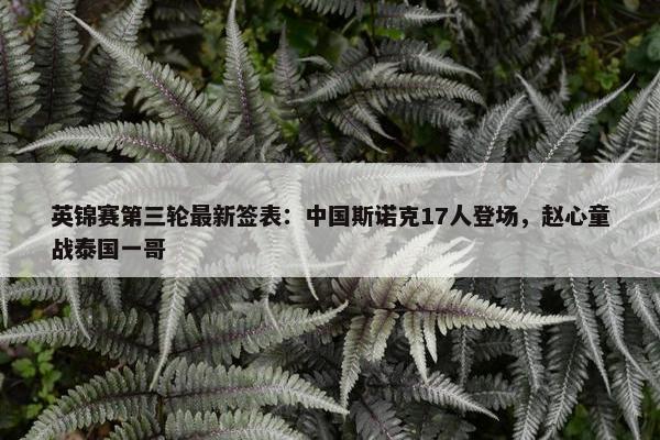 英锦赛第三轮最新签表：中国斯诺克17人登场，赵心童战泰国一哥