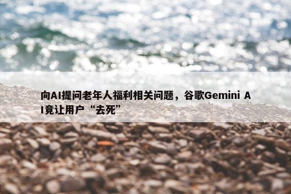 向AI提问老年人福利相关问题，谷歌Gemini AI竟让用户“去死”