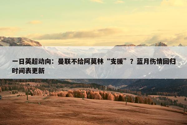 一日英超动向：曼联不给阿莫林“支援”？蓝月伤情回归时间表更新