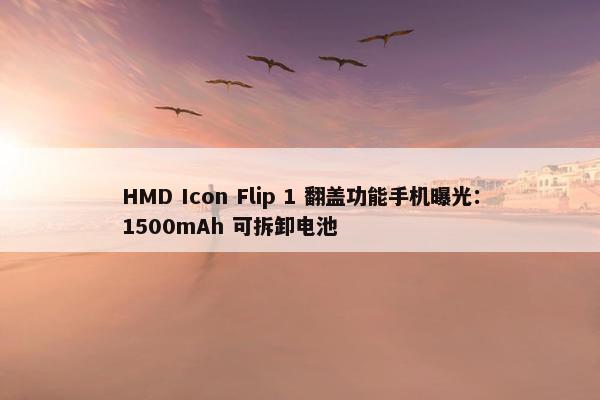 HMD Icon Flip 1 翻盖功能手机曝光：1500mAh 可拆卸电池