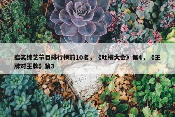 搞笑综艺节目排行榜前10名，《吐槽大会》第4，《王牌对王牌》第3