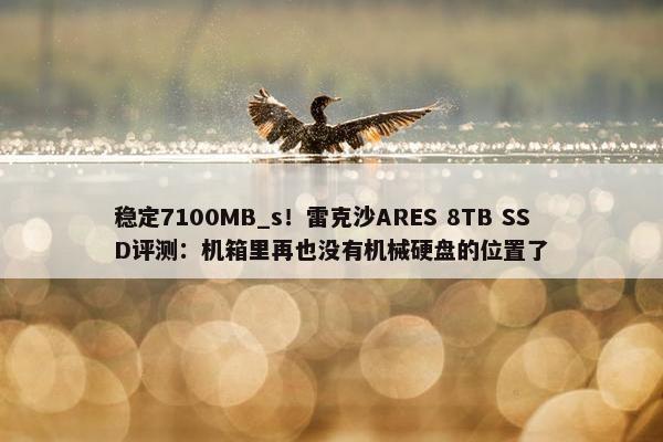 稳定7100MB_s！雷克沙ARES 8TB SSD评测：机箱里再也没有机械硬盘的位置了