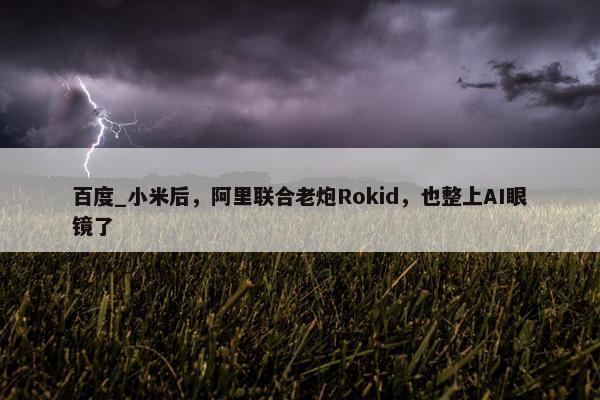 百度_小米后，阿里联合老炮Rokid，也整上AI眼镜了