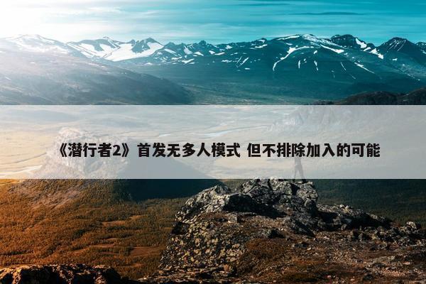 《潜行者2》首发无多人模式 但不排除加入的可能