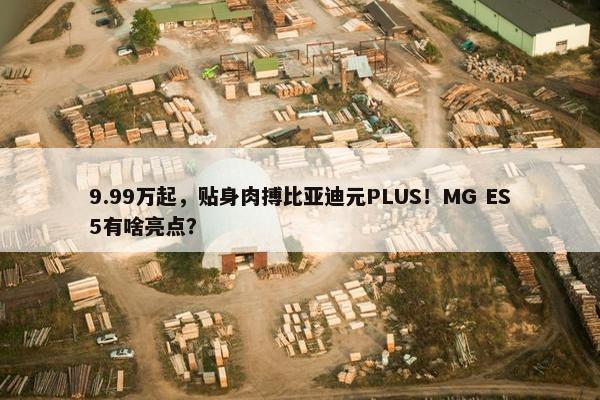 9.99万起，贴身肉搏比亚迪元PLUS！MG ES5有啥亮点？