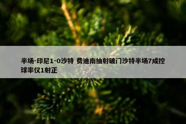 半场-印尼1-0沙特 费迪南抽射破门沙特半场7成控球率仅1射正