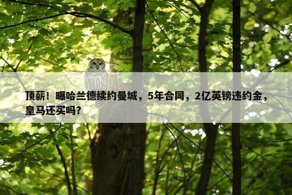 顶薪！曝哈兰德续约曼城，5年合同，2亿英镑违约金，皇马还买吗？