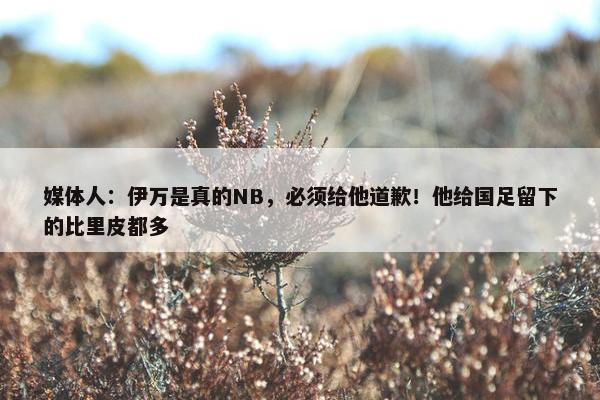 媒体人：伊万是真的NB，必须给他道歉！他给国足留下的比里皮都多