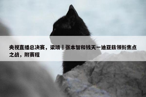 央视直播总决赛，梁靖崑张本智和钱天一迪亚兹领衔焦点之战，附赛程