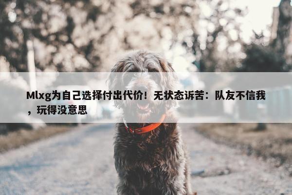 Mlxg为自己选择付出代价！无状态诉苦：队友不信我，玩得没意思