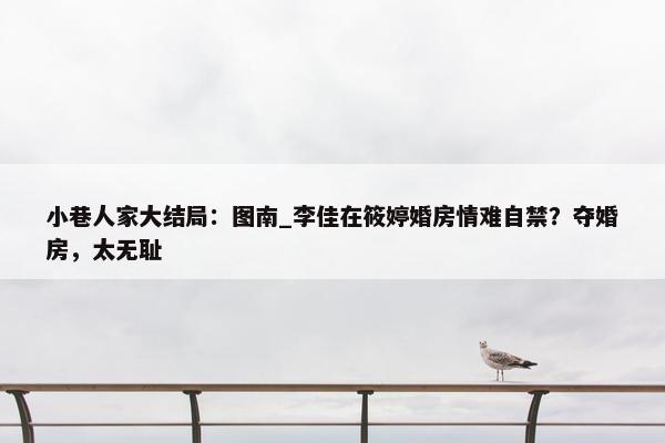 小巷人家大结局：图南_李佳在筱婷婚房情难自禁？夺婚房，太无耻