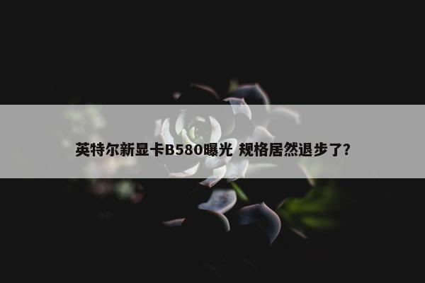 英特尔新显卡B580曝光 规格居然退步了？