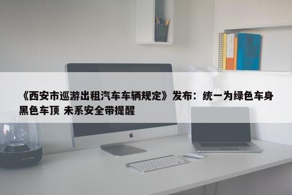 《西安市巡游出租汽车车辆规定》发布：统一为绿色车身黑色车顶 未系安全带提醒