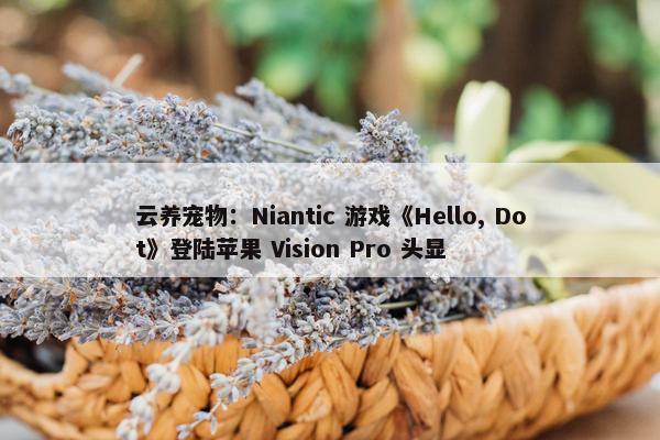 云养宠物：Niantic 游戏《Hello, Dot》登陆苹果 Vision Pro 头显