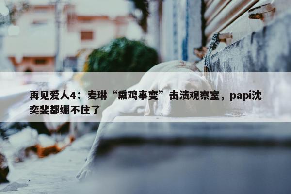 再见爱人4：麦琳“熏鸡事变”击溃观察室，papi沈奕斐都绷不住了