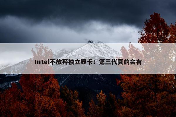 Intel不放弃独立显卡！第三代真的会有