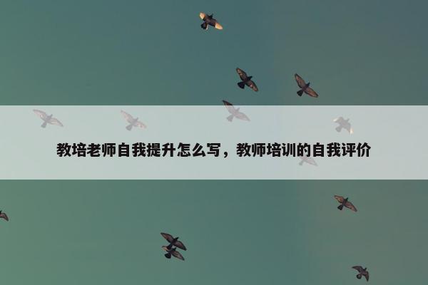 教培老师自我提升怎么写，教师培训的自我评价