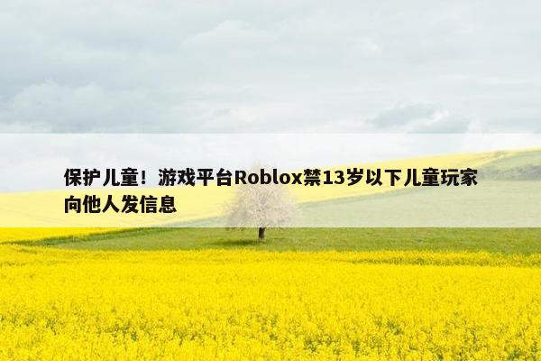 保护儿童！游戏平台Roblox禁13岁以下儿童玩家向他人发信息