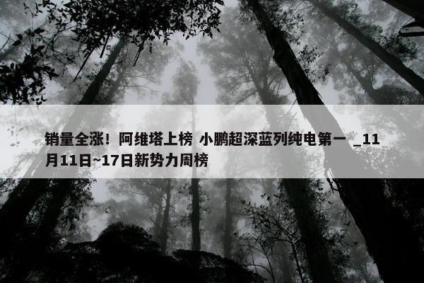 销量全涨！阿维塔上榜 小鹏超深蓝列纯电第一 _11月11日~17日新势力周榜