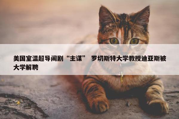 美国室温超导闹剧“主谋” 罗切斯特大学教授迪亚斯被大学解聘