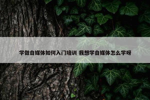 学做自媒体如何入门培训 我想学自媒体怎么学呀