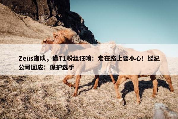 Zeus离队，遭T1粉丝狂喷：走在路上要小心！经纪公司回应：保护选手