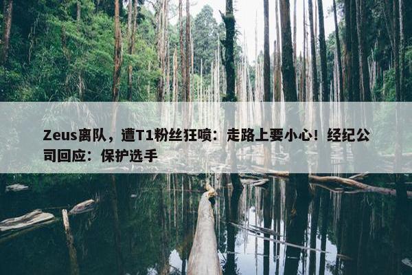 Zeus离队，遭T1粉丝狂喷：走路上要小心！经纪公司回应：保护选手