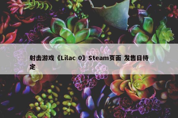 射击游戏《Lilac 0》Steam页面 发售日待定