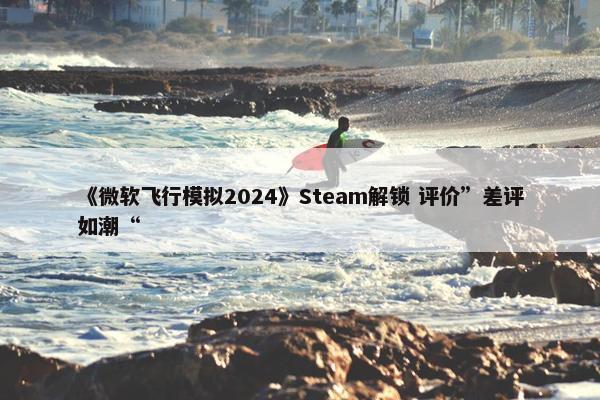 《微软飞行模拟2024》Steam解锁 评价”差评如潮“