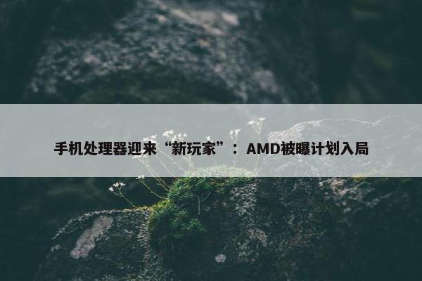 手机处理器迎来“新玩家”：AMD被曝计划入局