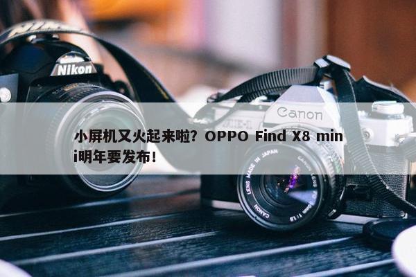 小屏机又火起来啦？OPPO Find X8 mini明年要发布！